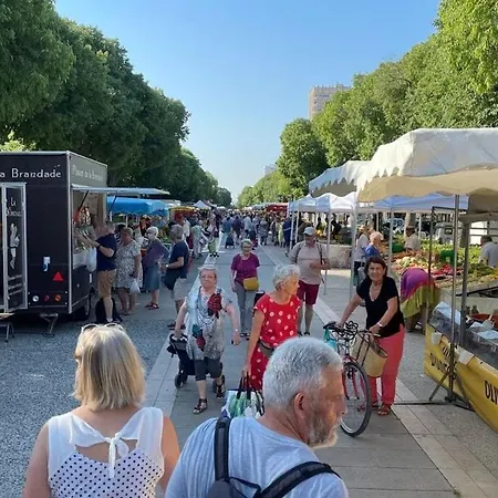 Apartamento Le Des Tilleuls, Climatise & Vrai Lit Nîmes